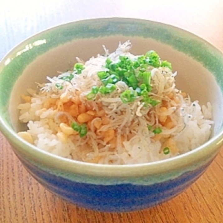 天丼もどきどんぶり